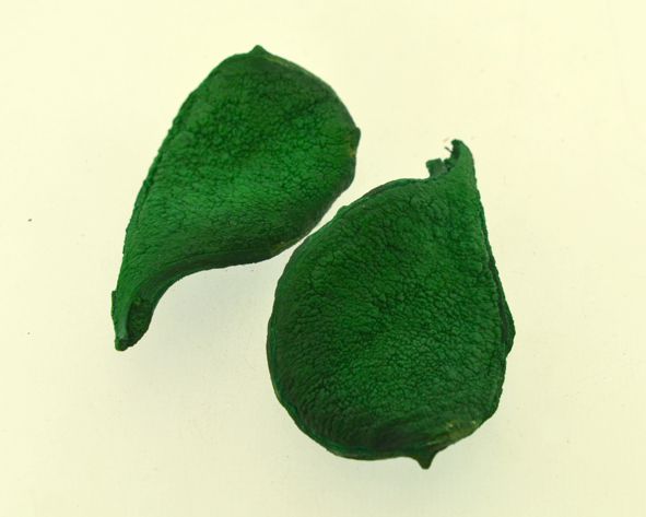 Pereira pingente colorido - Verde - Tamanhos variados (un)